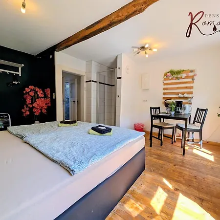 Gaestehaus Romantika Pensionat 3*