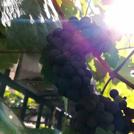 Gaestehaus Romantika Cochem